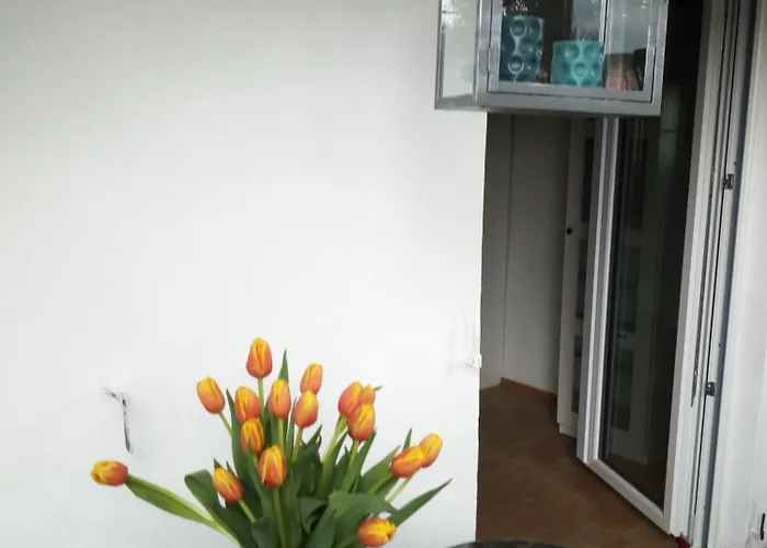 Margot In Vs Appartement Villingen-Schwenningen